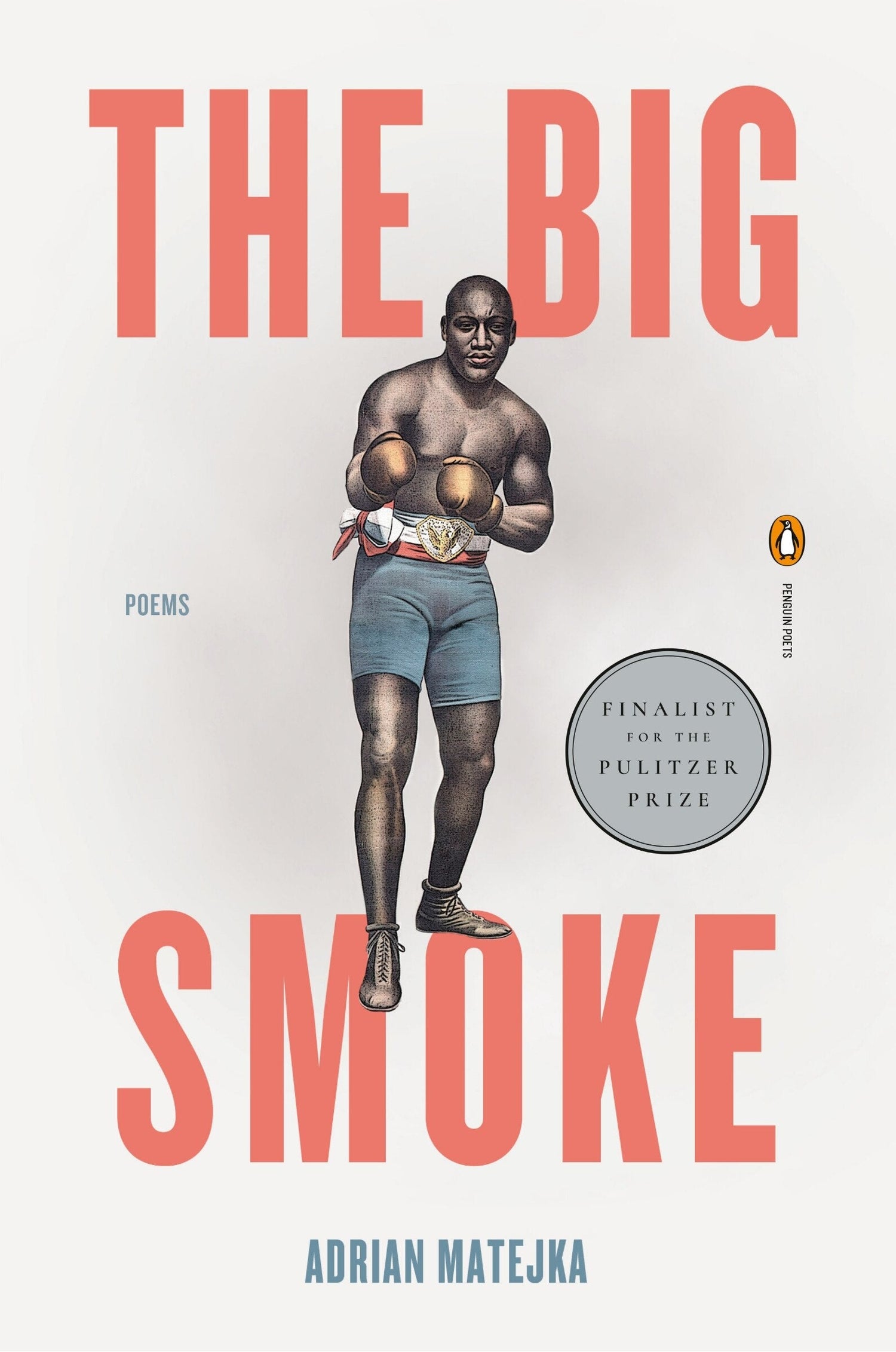 The Big Smoke - Matejka, Adrian (Paperback)-Poetry-9780143123729-BookBizCanada